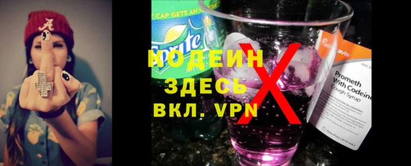 ГАЛЛЮЦИНОГЕННЫЕ ГРИБЫ Ельня