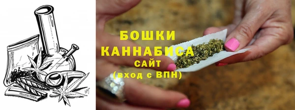 ГАЛЛЮЦИНОГЕННЫЕ ГРИБЫ Ельня