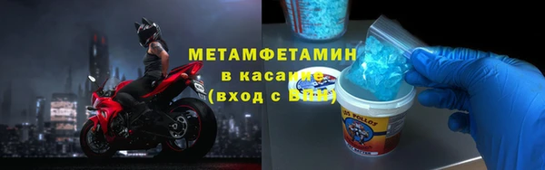 ГАЛЛЮЦИНОГЕННЫЕ ГРИБЫ Ельня