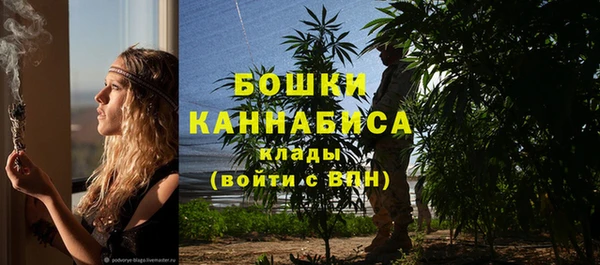 спайс Елабуга