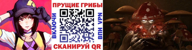 Псилоцибиновые грибы мухоморы  Кедровый 