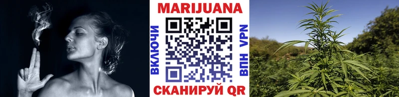 Конопля Ganja  Кедровый 